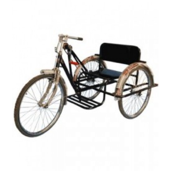 Handicapped Child Tricycle
