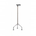 Walking Sticks