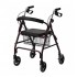 Karma RT 60 Rollator Walker